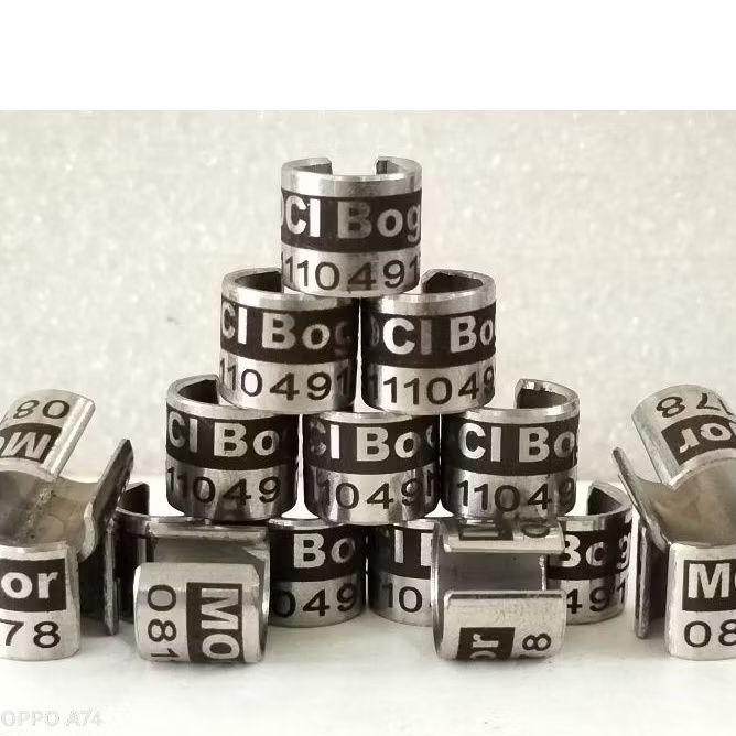 Ring merpati dewasa baja belah tinggi standard