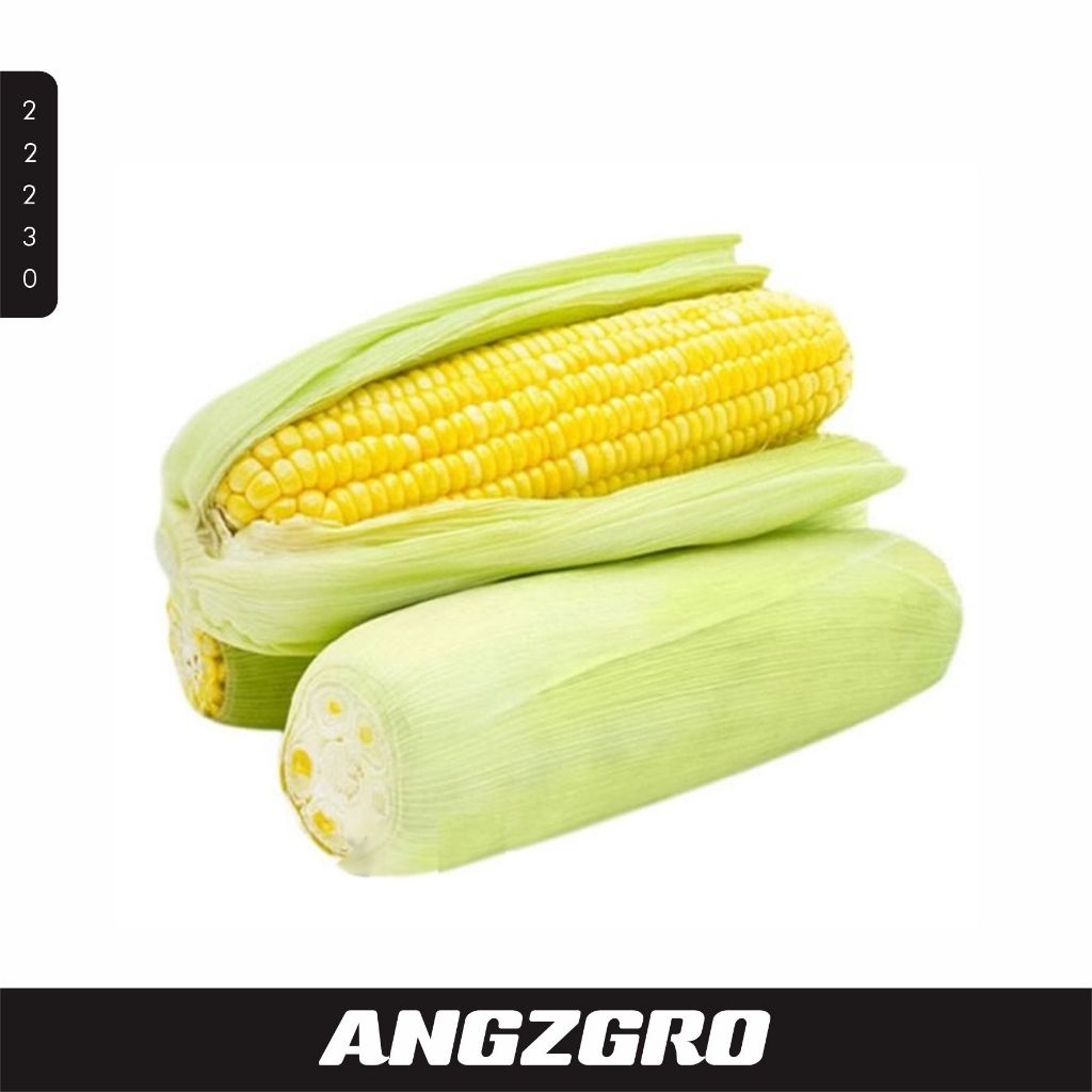 

Jagung Manis 2 Pcs/ Pack