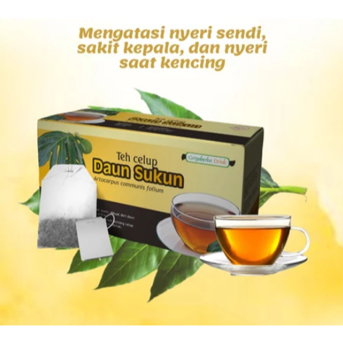 

TEH HERBAL DAUN SUKUN GRIYA HERBAL 20 KANTONG TEH CELUP SIAP SAJI