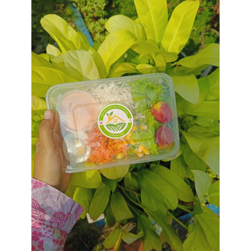 

FRESH SALAD SAYUR - KIRIM INSTAN DRESSING FRESH