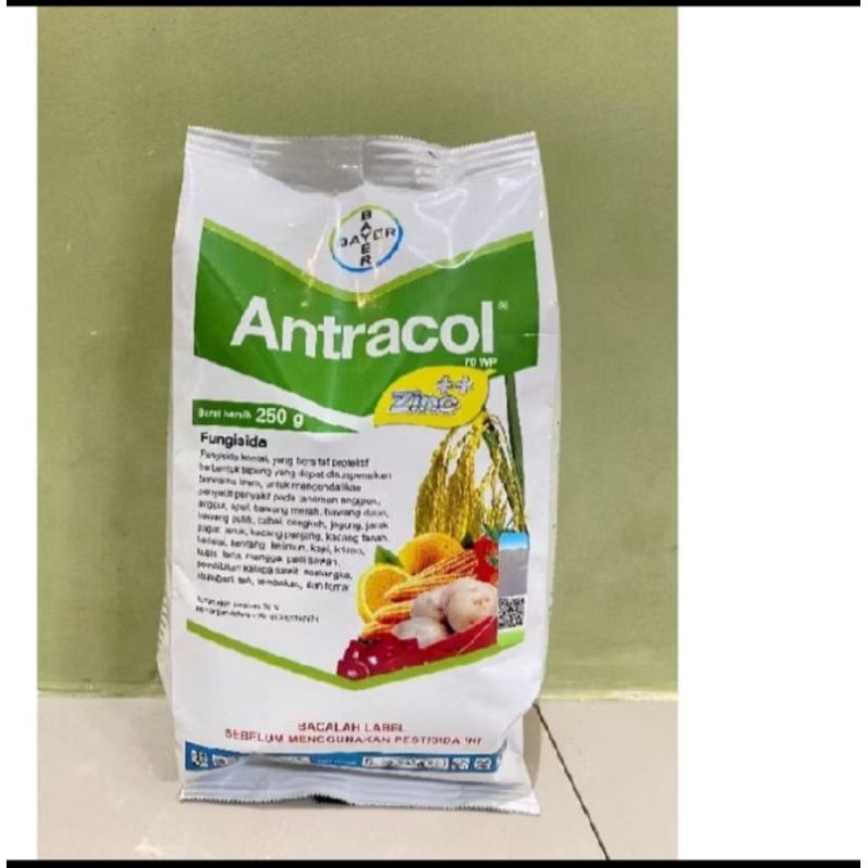 ANTRACOL 250gram