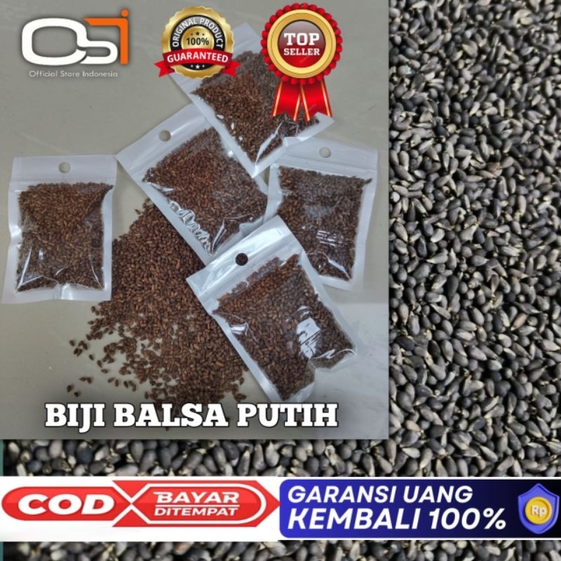 biji pohon balsa putih super benih unggul kemasan 150 grm