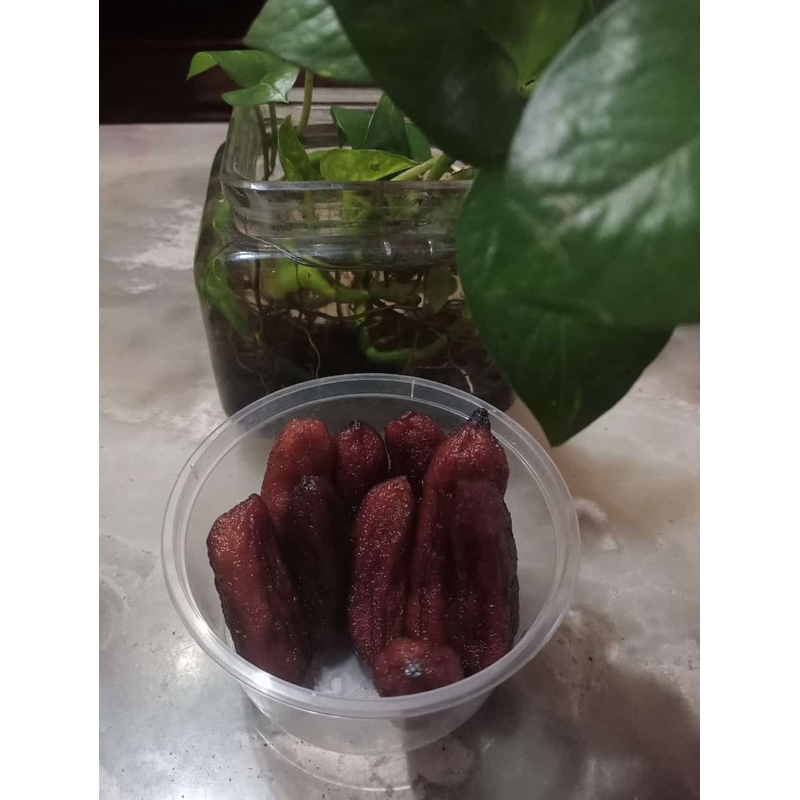 

Salai / Sale Pisang Basah per cup ( +- 200 gram ) Tanpa Biji, Tanpa Pemanis Buatan, Tanpa Pengawet.. LEZAAAATTTT