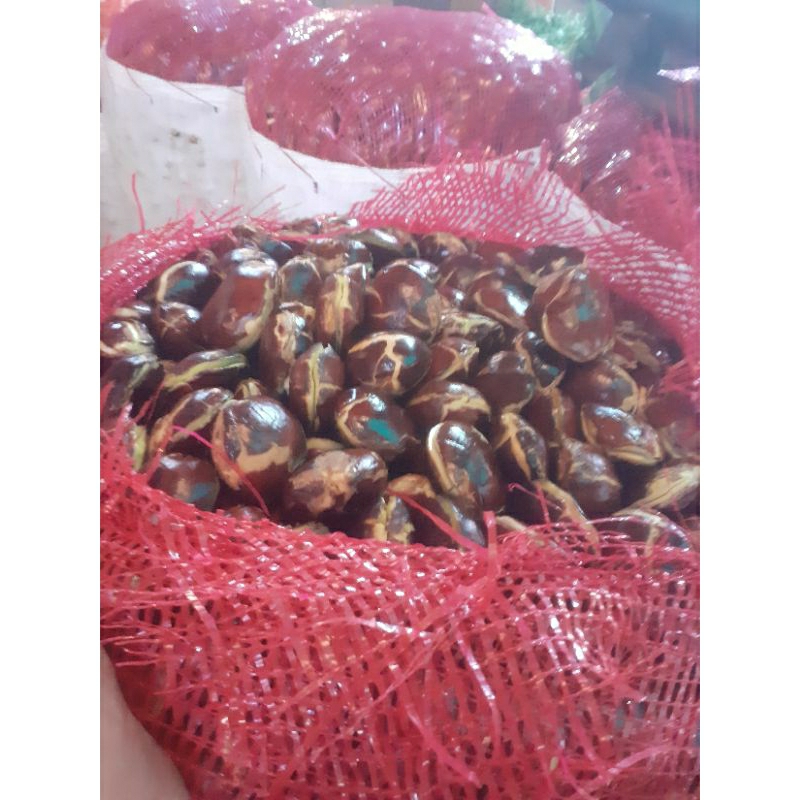 

JENGKOL TUA GEDE FULL SUPER 1KG