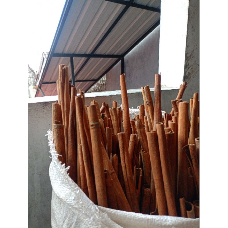 

Kayu Manis Long Stick 1Kg fressh