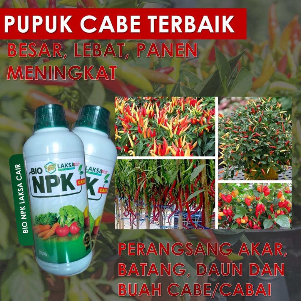 OBAT CABE TERBAIK - NPK LAKSA Grow 500 ML Obat Pembesar Padi Tanpa Rontok Anti Virus dan Hama, Pupuk