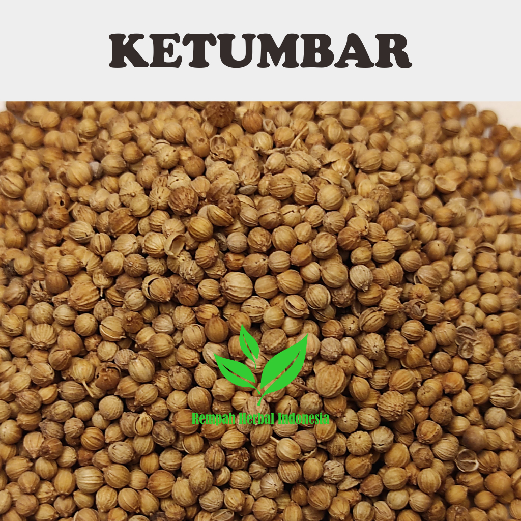 

500 Gr ketumbar Hitam / coriander Organik original untuk Minuman herbal bumbu masakan tanpa Pemutih
