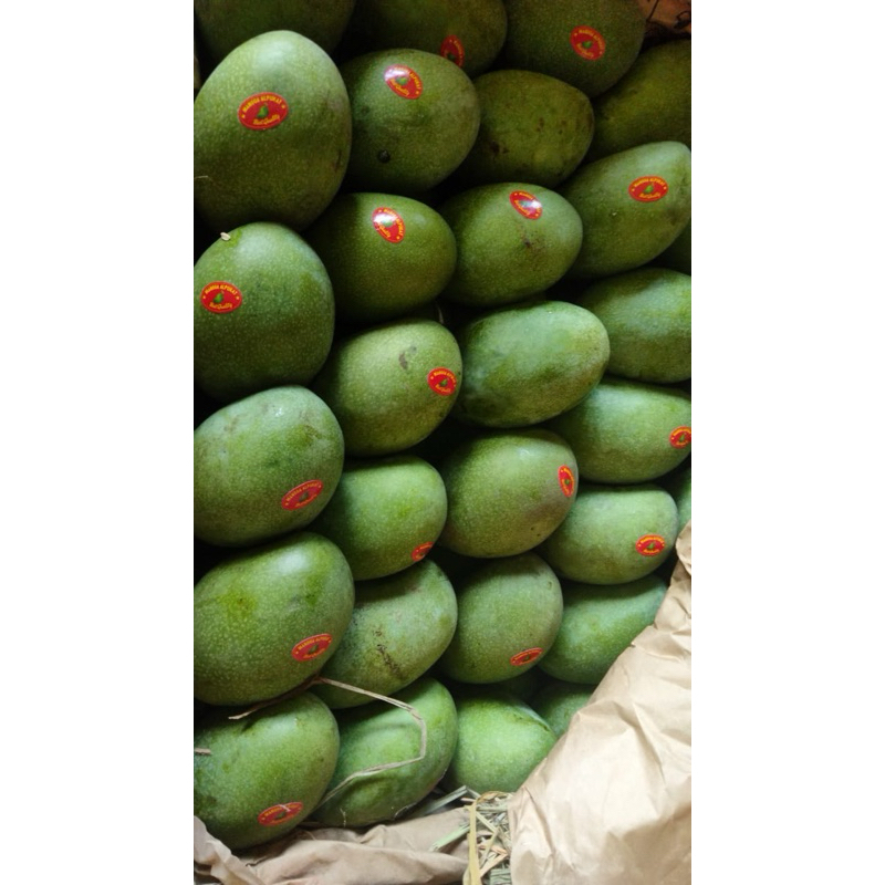 

BACA DESKRIPSI - MANGGA MADU - marketkitabali