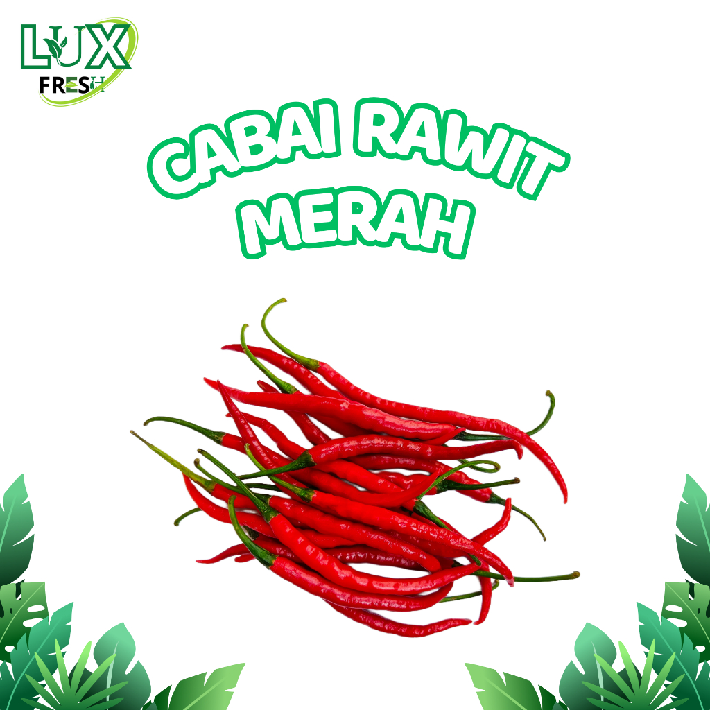 

CABAI RAWIT MERAH 500 GRAM DAN 1 KG SEGAR DAN BERKUALITAS