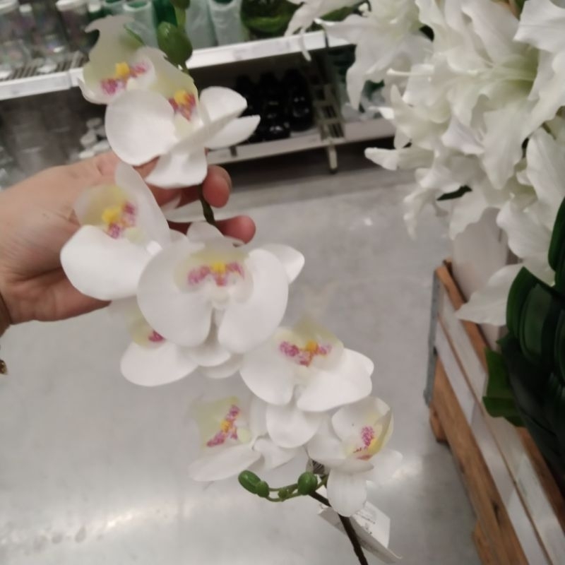 Bunga Anggrek Tiruan 1 Tangkai 60Cm