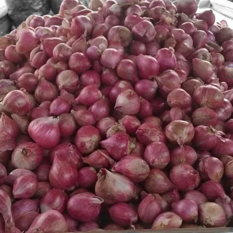 

Bawang Merah Segar Lokal Garut Kualitas Super Premium