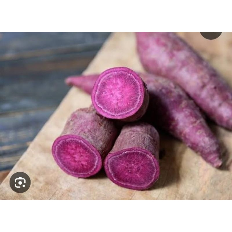 

Ubi Jalar Putih - Kuning - Ungu Per 1 Kg - Ubi Rambat