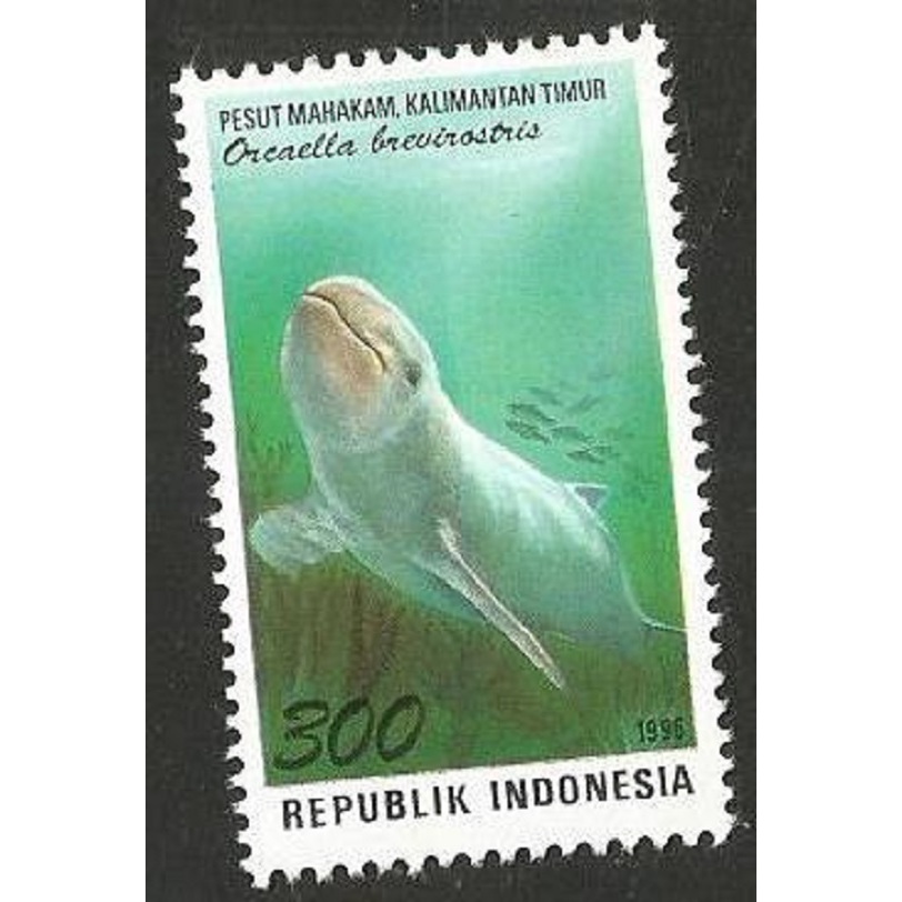 

A 10589 SATU BUAH PRANGKO INDONESIA TEMA SATWA IKAN DARI PROPINSI KALIMANTAN TIMUR DENGAN KONDISI MNH MINT NEVER HINGED
