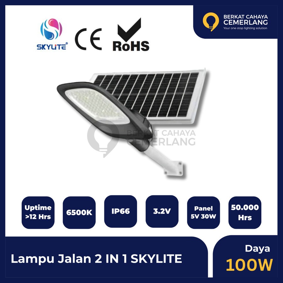 Lampu PJU Solar Cell Skylite 100W 2 IN 1 Lampu Jalan Street Light