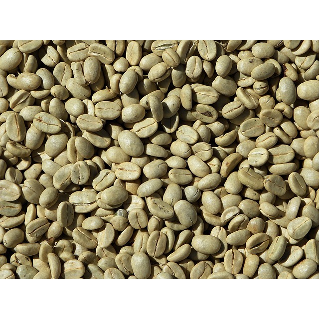 

BIJI KOPI TERBAIK ROBUSTA LAMPUNG GRADE2-GREENBEAN