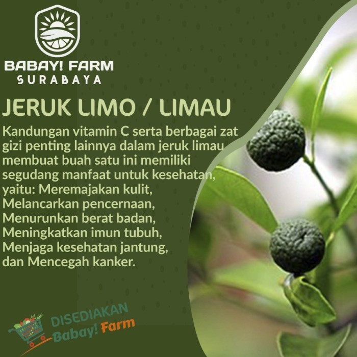 

jeruk limo / limau kasturi / jeruk pecel sambal / sambel segar