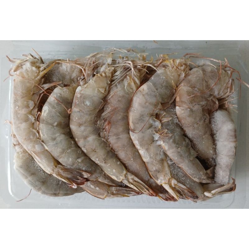 

Udang Vaname Tanpa Kepala