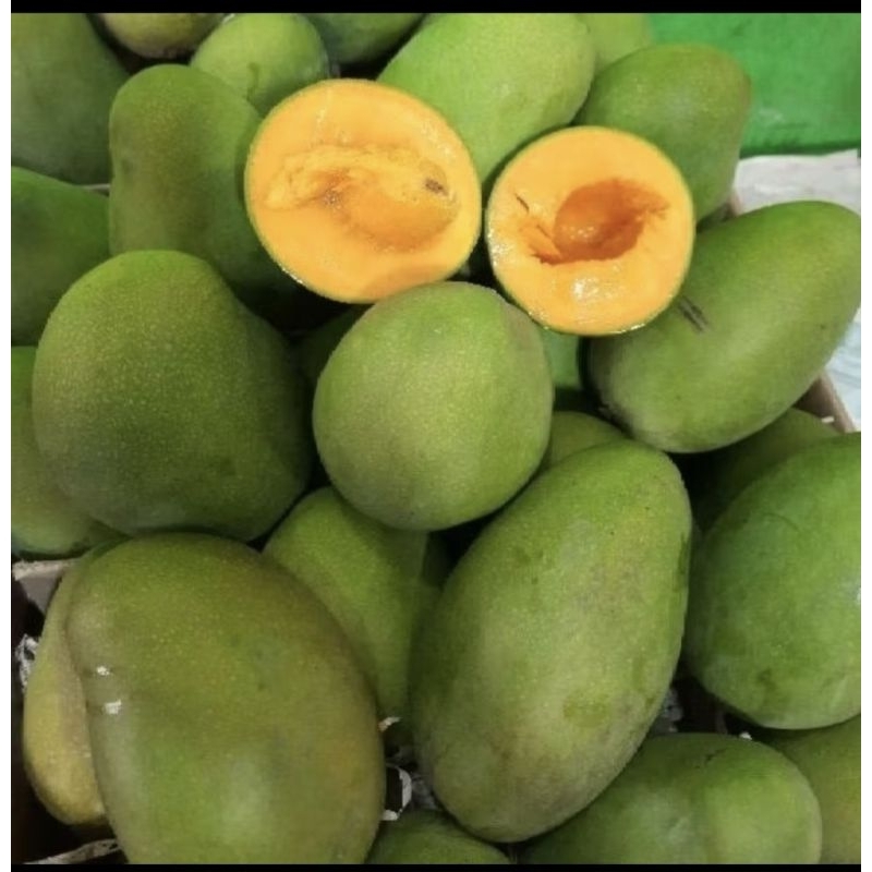 

Mangga Harum Manis Super