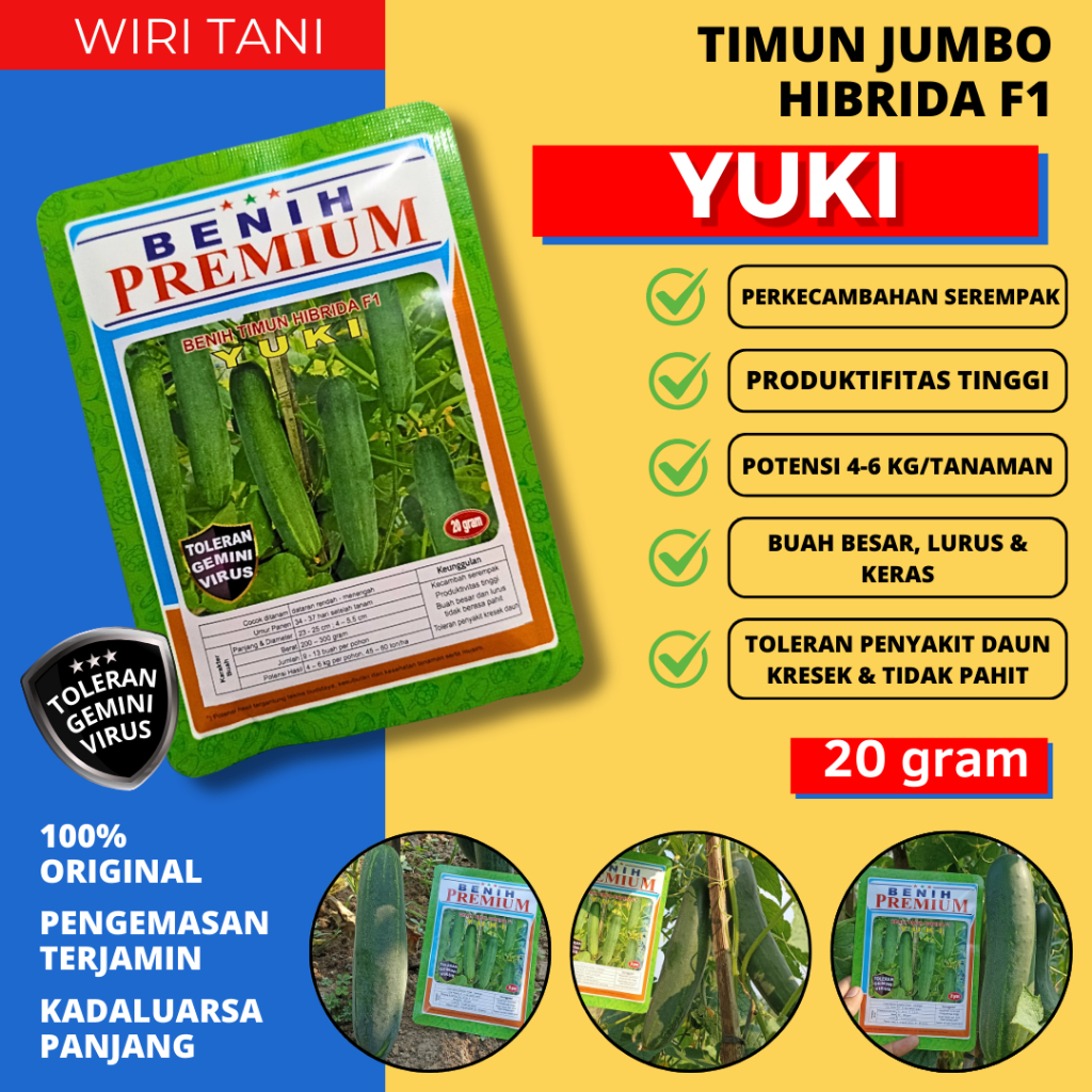 (20 gram) Benih Bibitg Timun JUMBO Hibrida F1 YUKI  (±880 biji) Tahan Virus Benih Premium | Bibit Ke