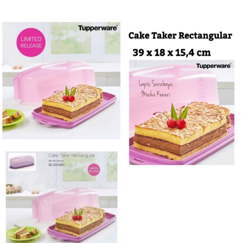 Tupperware Cake Taker Rectangular