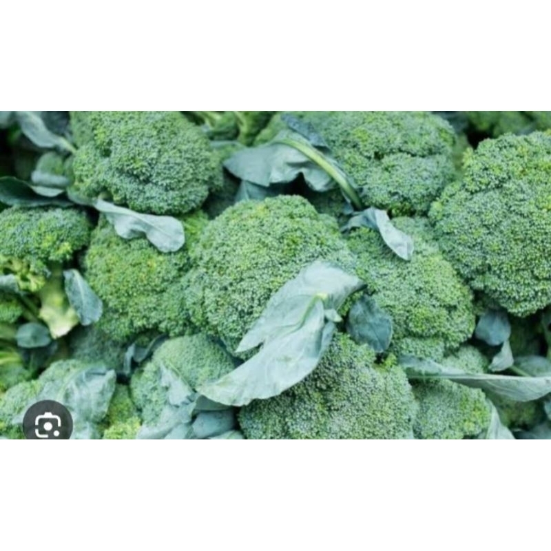 

Brokoli Sayur per 500gram