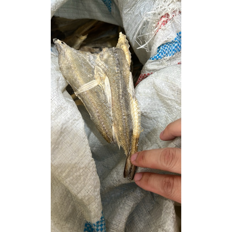 

Ikan Asin Siteng