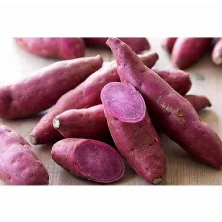 

UBI UNGU 1KG UBI SEGAR UBI UNGU SUPER