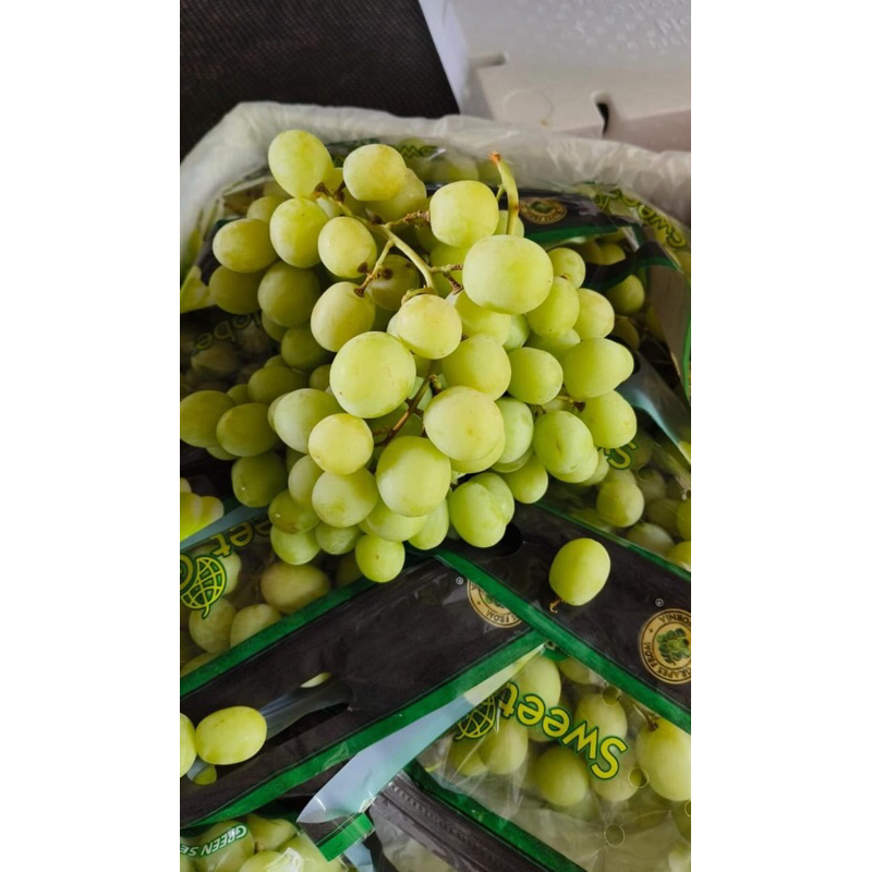 

Anggur Hijau Sweet Globe USA 1 Dus (8.5 KG) Fresh Import