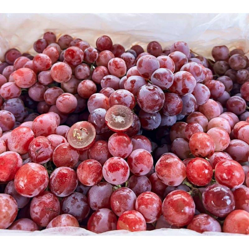 

Anggur red globe 1kg