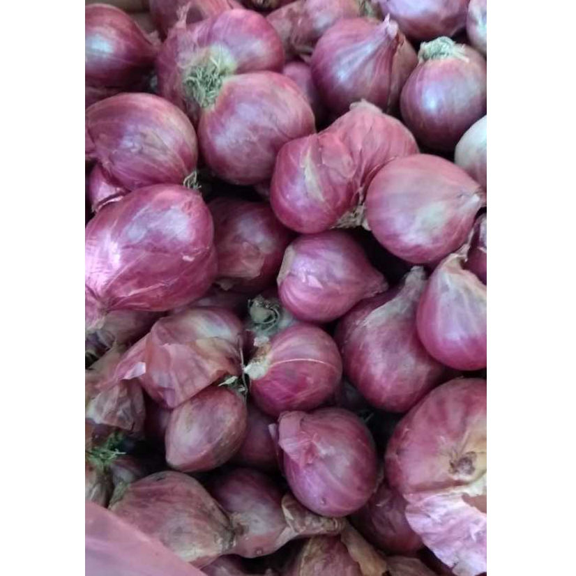 

Bawang Merah Probolinggo 1kg | Kering I Berkualitas I Pasti Ready