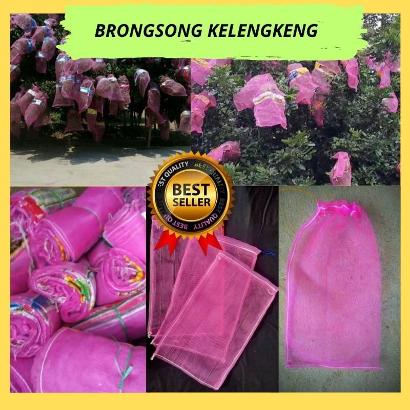 Bungkus klengkeng di pohon, Bungkus buah kelengkeng, bungkus buah lengkeng