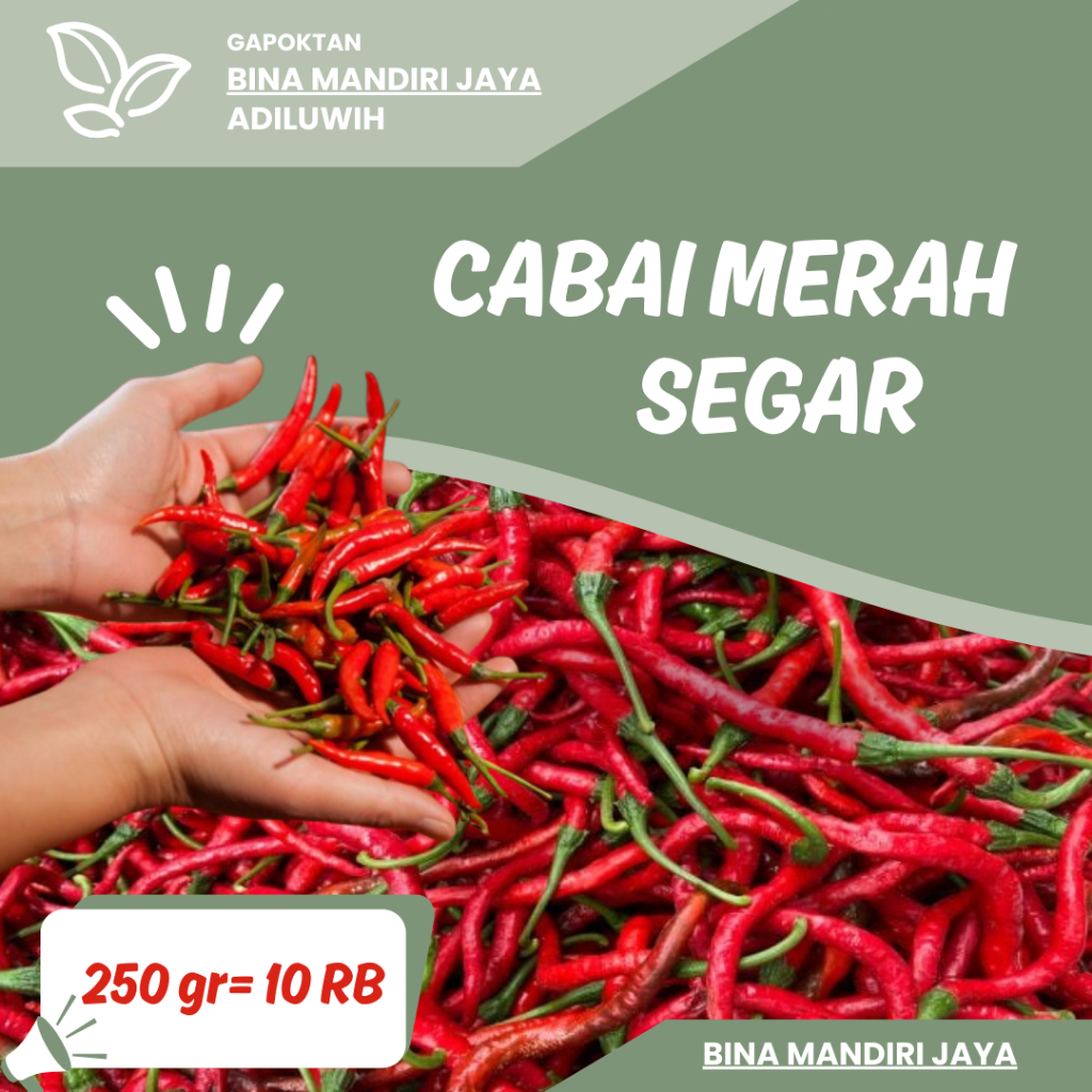 

CABAI MERAH SEGAR_Gapotkan Bina Mandiri Jaya Adiluwih - 250 gr