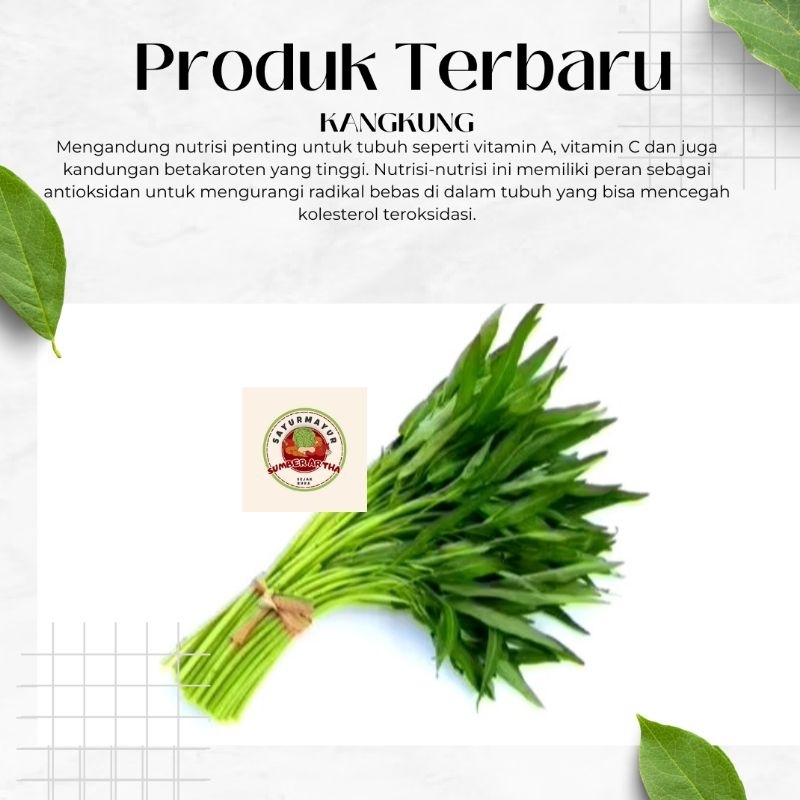 

Sayur Fresh 1 Ikat kangkung fresh murah fast delivery