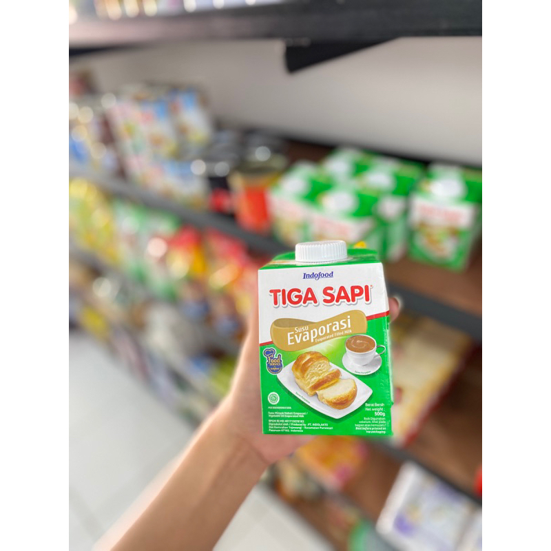 

tiga sapi evaporasi