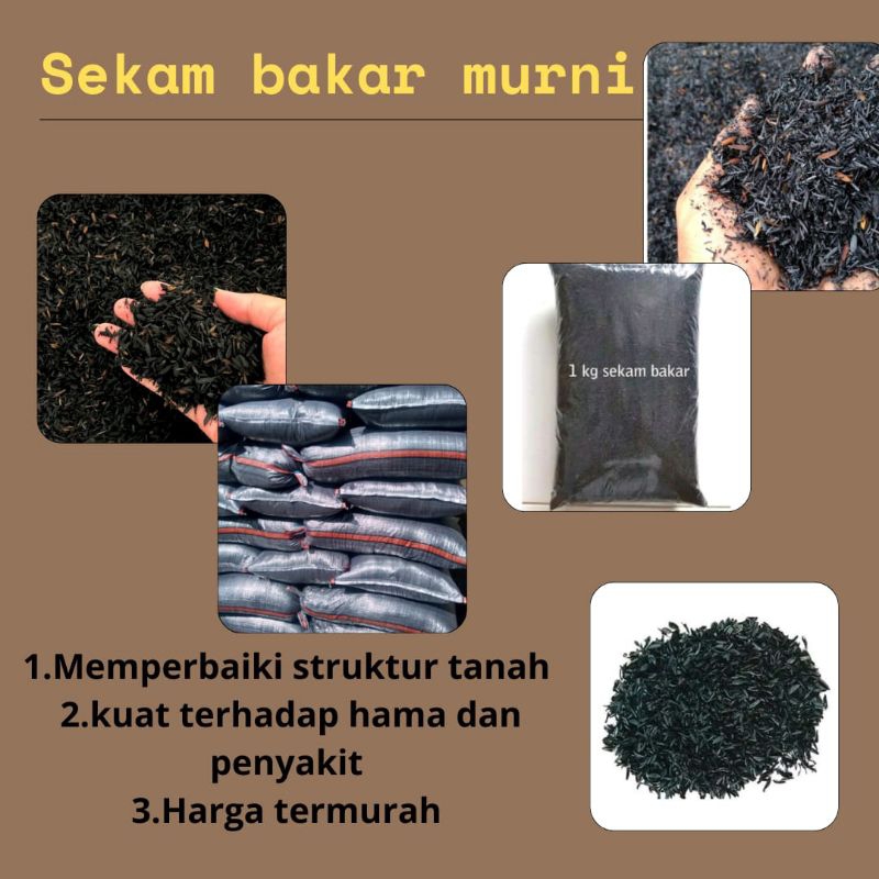 TERLARIS.. Sekam Bakar Halus 1kg