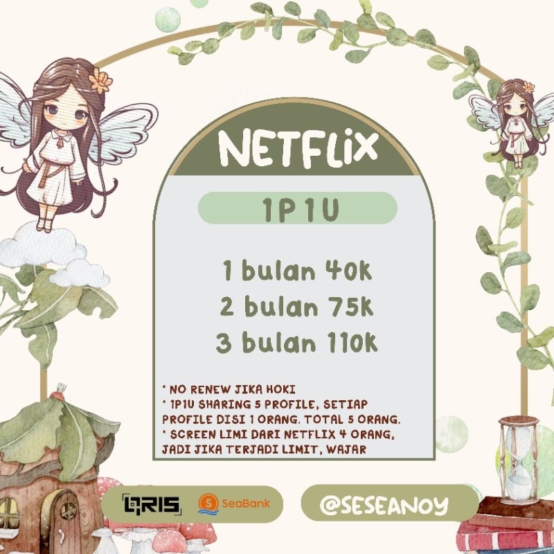 netflix sharing 1p1u