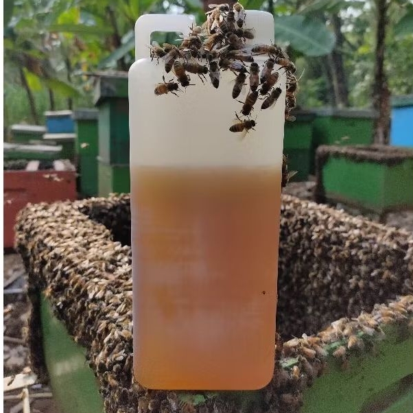

Exclusive Honey - Madu Asli 100% - Madu Multiflora 1 kg - Madu Murni Original