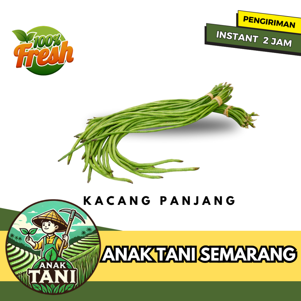 

[ANAK TANI] KACANG PANJANG SEGAR 1 IKAT SIAP KIRIM INSTANT AREA SEMARANG