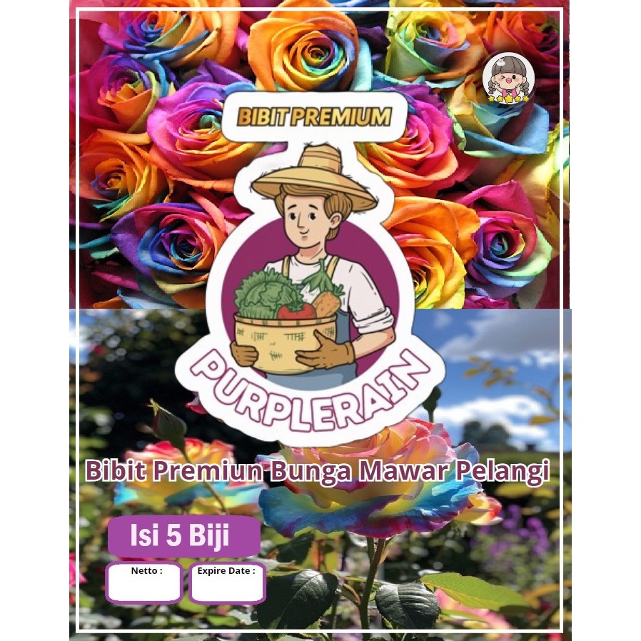 Bibit Premium Bunga Mawar  Pelangi | Benih Bunga Mawar Rainbow| Rainbow Rose