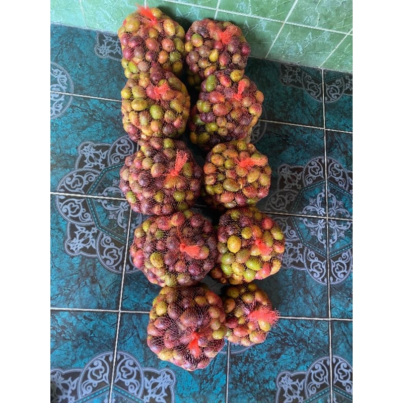 

Matoa daging tebal manis 1kg