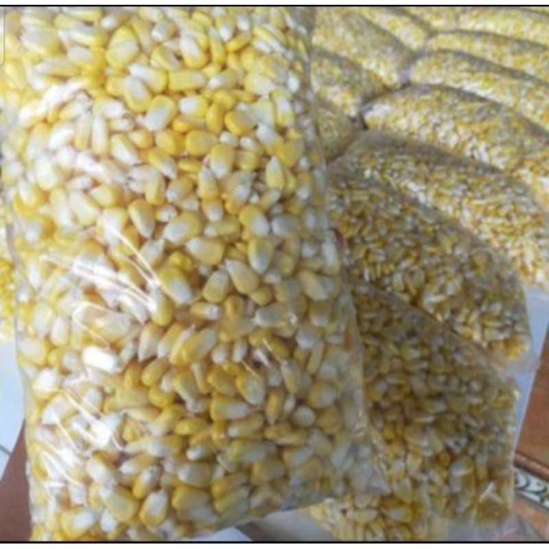 

Jagung Pipil Manis Frozen 1kg Murah Cocok Untuk Jazuke Bakwan Sup Sayur Bening Steak Lepet Cemilan Grontol dll