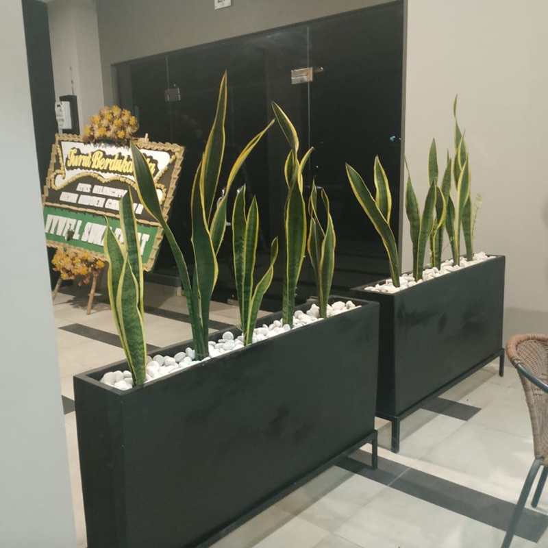 pot teraso pot kotak hitam doff set dengan kaki  besi 125 x 25 x 60