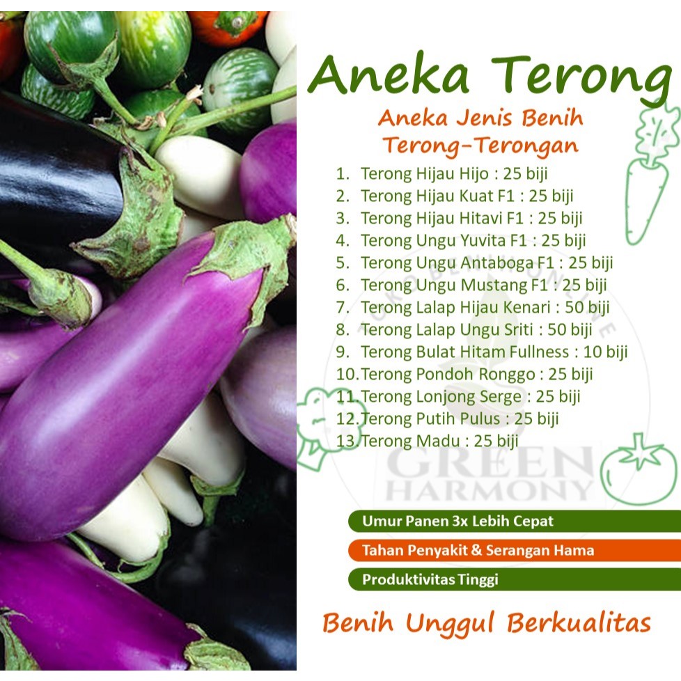 Aneka Benih Sayuran TERONG, Terong Hijau, Terong Ungu, Terong Lalap, Terong Putih, Terong Lonjong dl
