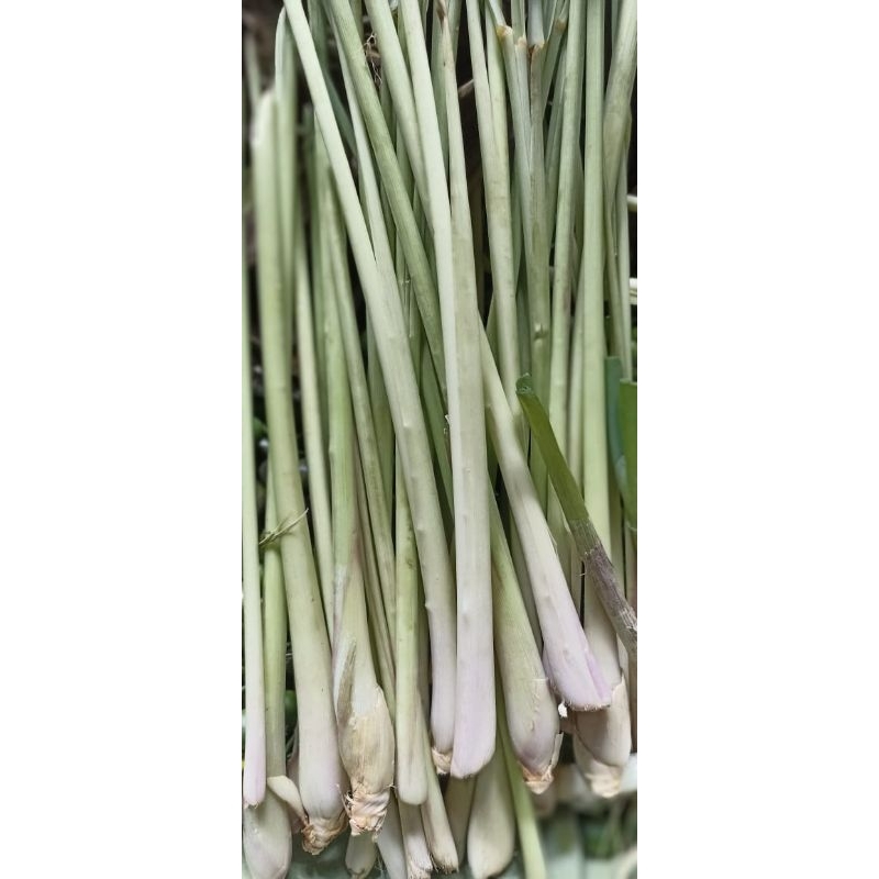 

sereh Serei Segar, bumbu Masak 500 gram