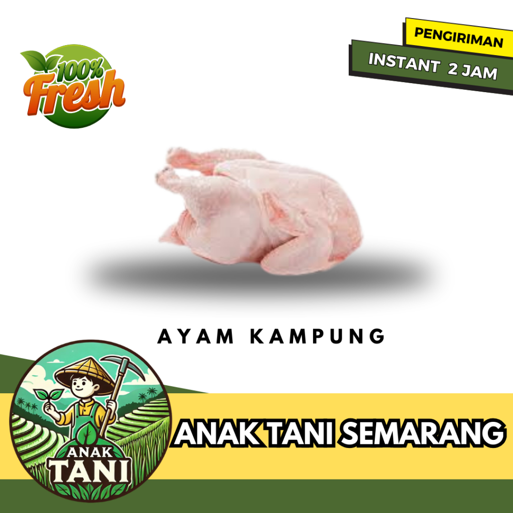 

[ANAK TANI] AYAM KAMPUNG PER 1 EKOR SEGAR SIAP KIRIM INSTANT AREA SEMARANG