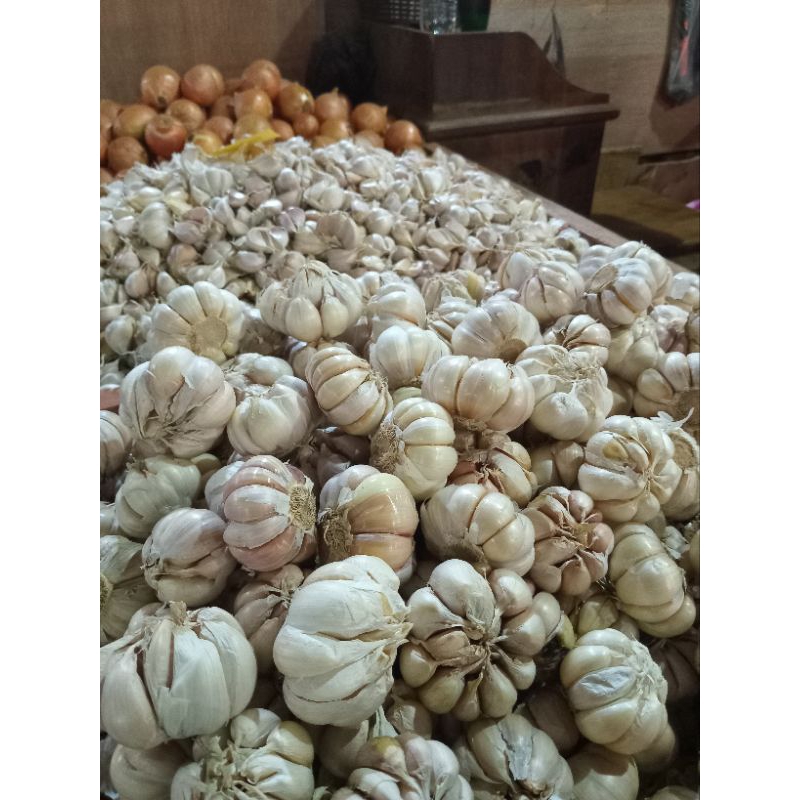 

bawang putih per 1 kg