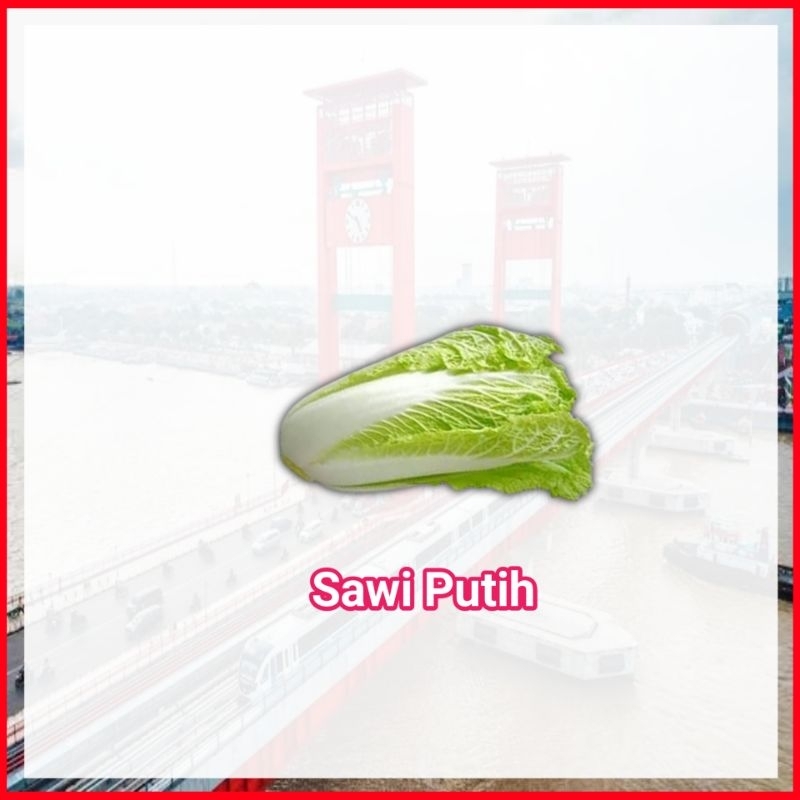 

Sawi Putih Sayuran Fresh Palembang