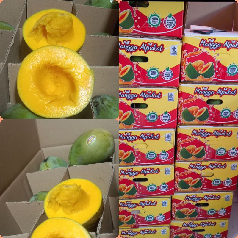 

mangga Alpukat 1 dus 5kg