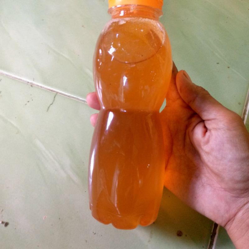 

madu lebah /madu hutan liar