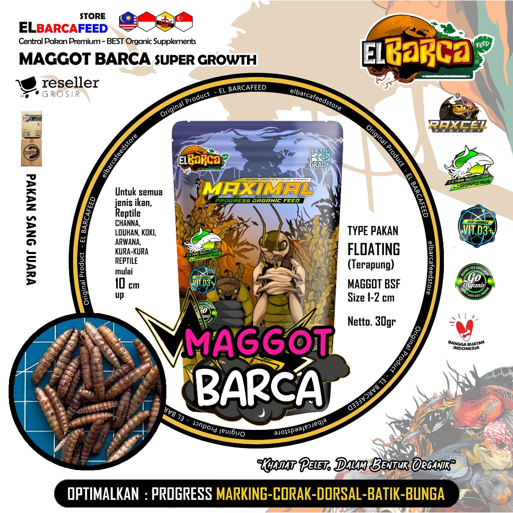 pakan ikan EL BARCA maggot BSF grade A++ maggot chana super